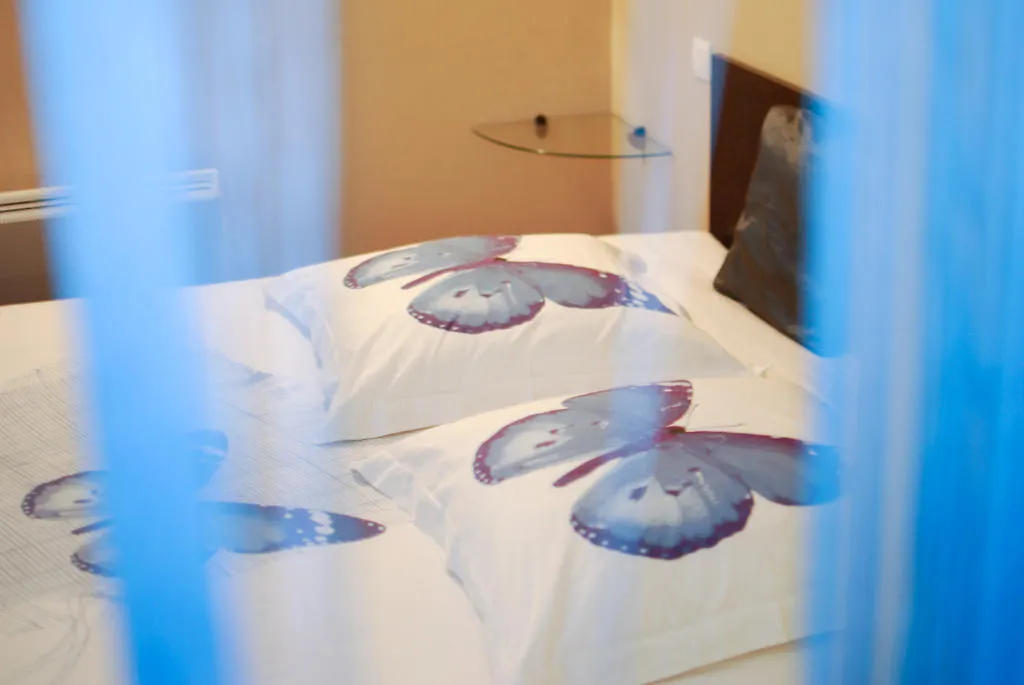 Chez Tatiana Bed & Breakfast Lyon France